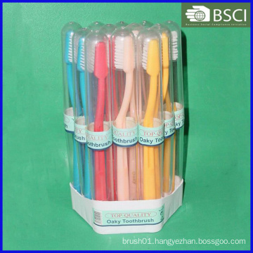 12PCS Tooth Brush Set CB-T-026